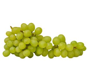 RAISIN VITTORIA  KG