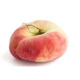 PECHE BLANCHE PLATE KG