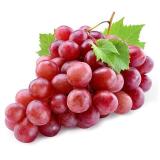 RAISIN RED GLOBE KG