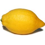 CITRON  KG