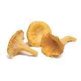 CHAMPIGNON BLANC KG