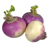 NAVET VIOLET KG