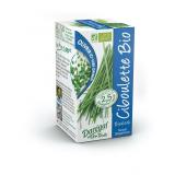 CIBOULETTE