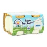 DESSERT SANS LACTOSE