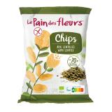 CHIPS DE LENTILLE