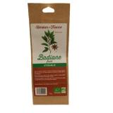 BADIANE FRUITS