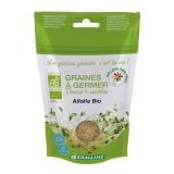 ALFALFA  A GERMER
