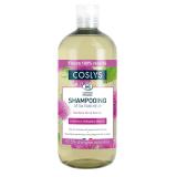 SHAMPOOING CHEVEUX GRAS
