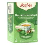 INFUSION BIEN ÊTRE INTESTINAL