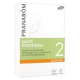 CAPSULES SANTÉ INTESTINALE